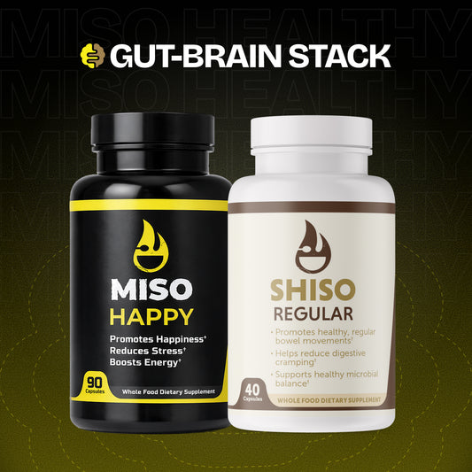 Gut-Brain Stack