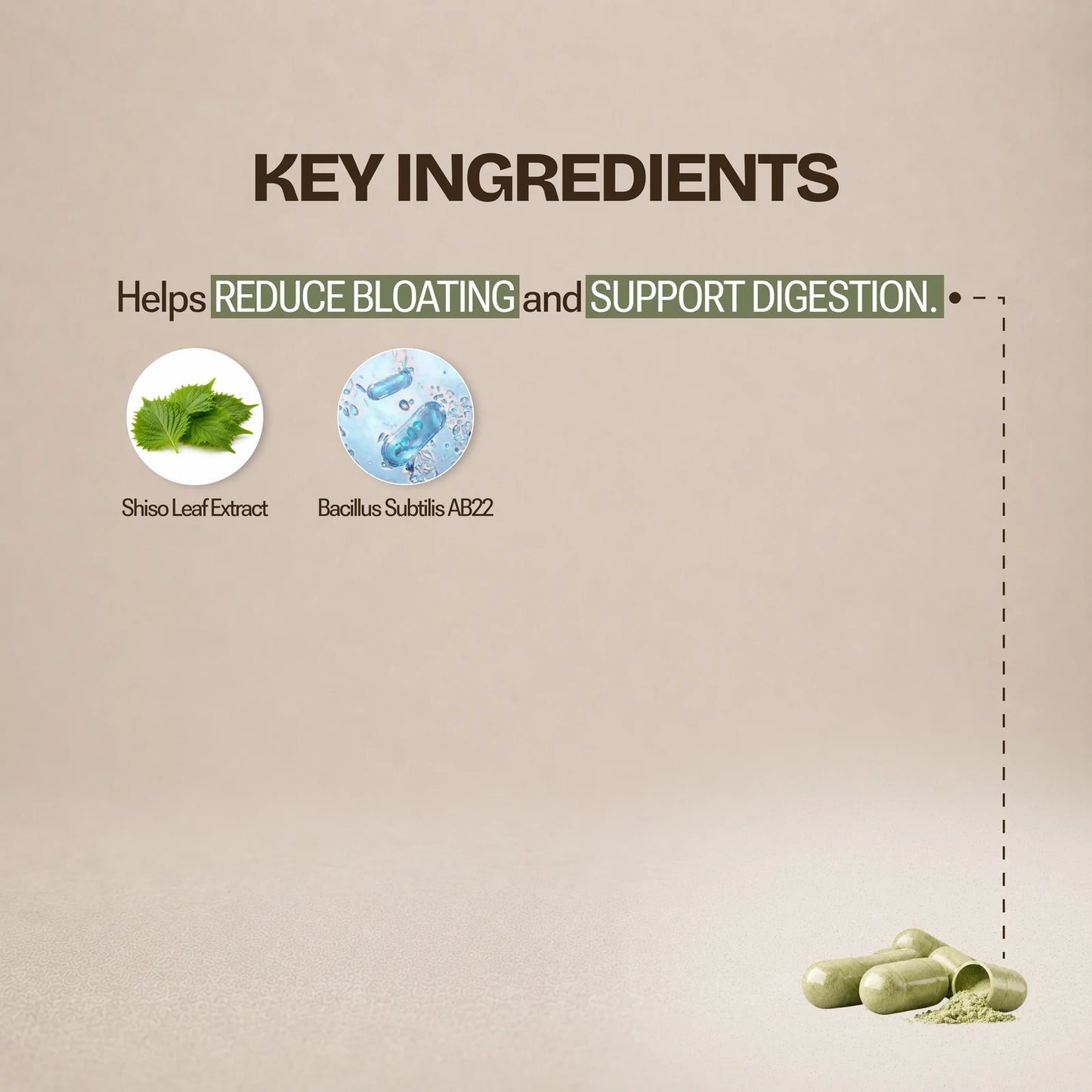 GMI Ultimate Gut Health Stack