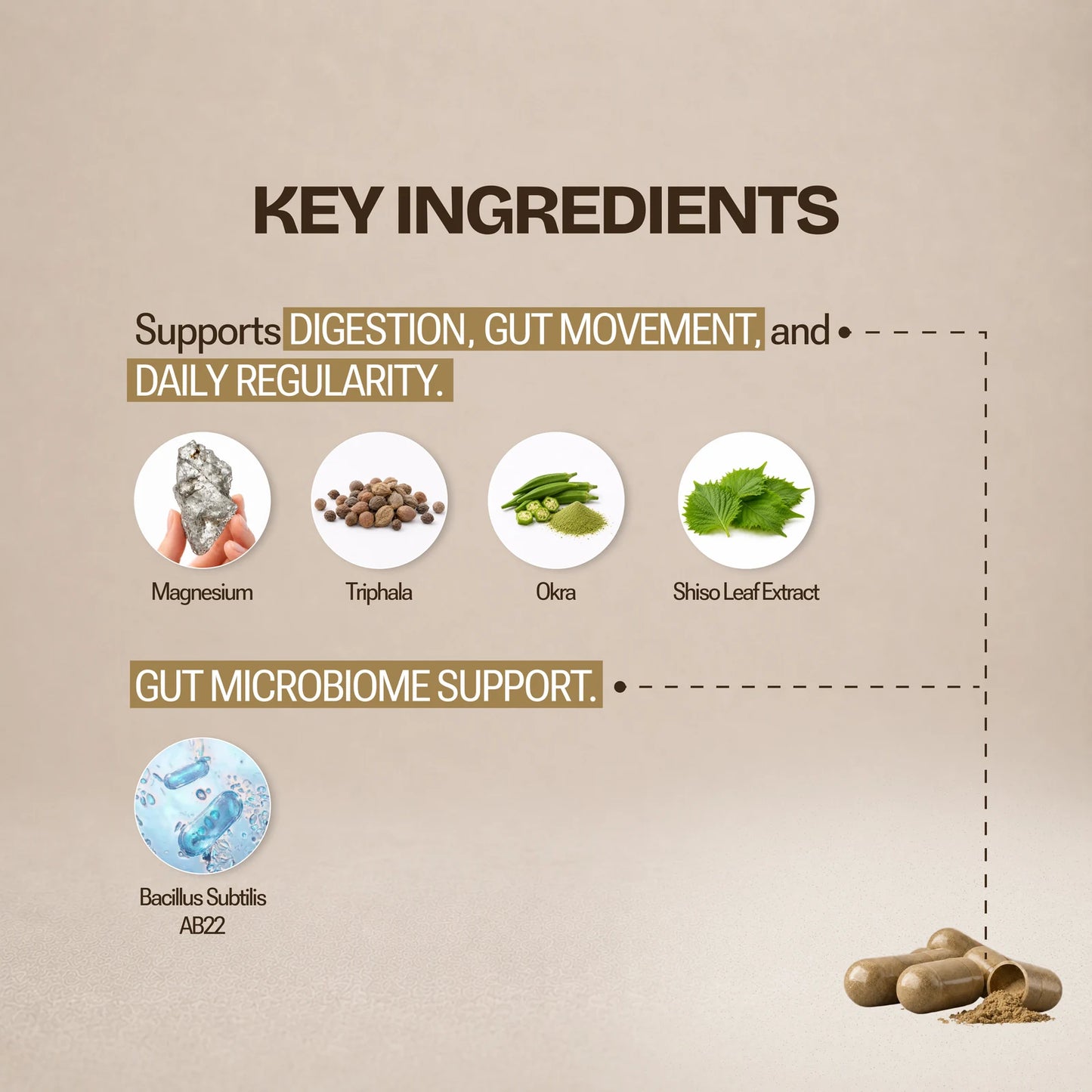 Gut Health Stack