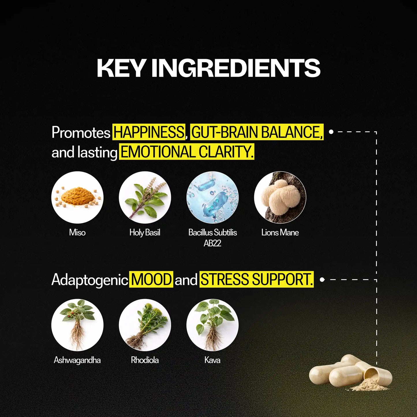 Key ingredients with their benefits on a black background